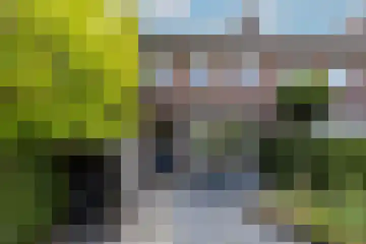 Ranonkelstraat 7 Son en Breugel thumbnail 41