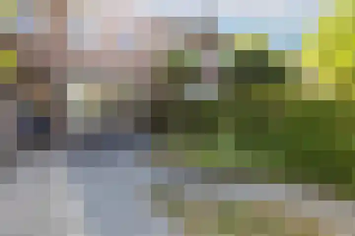 Ranonkelstraat 7 Son en Breugel thumbnail 42