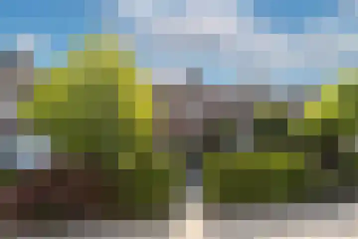 Ranonkelstraat 7 Son en Breugel thumbnail 43