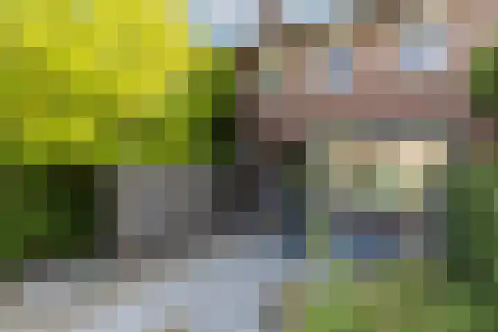 Ranonkelstraat 7 Son en Breugel thumbnail 44