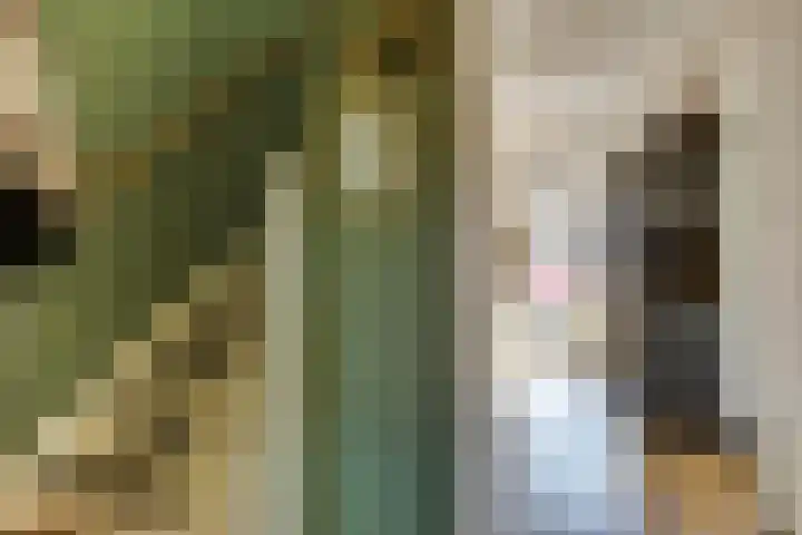 Ranonkelstraat 7 Son en Breugel thumbnail 5