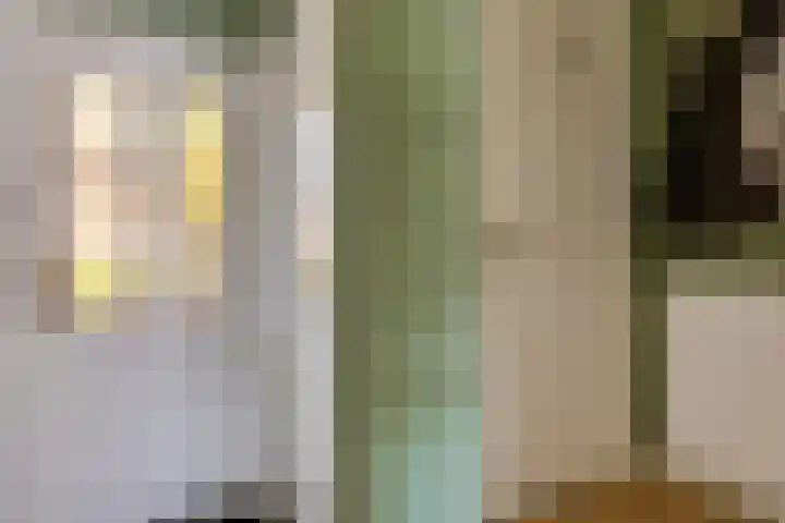 Ranonkelstraat 7 Son en Breugel thumbnail 6