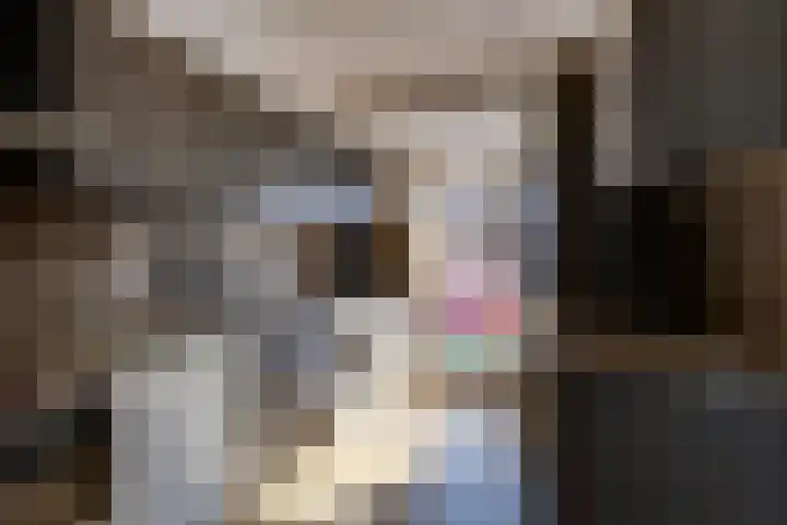 Ranonkelstraat 7 Son en Breugel thumbnail 7