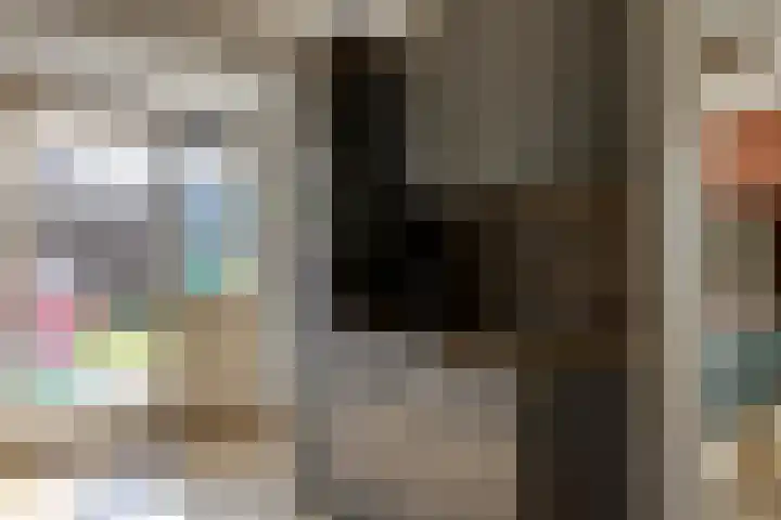 Ranonkelstraat 7 Son en Breugel thumbnail 8