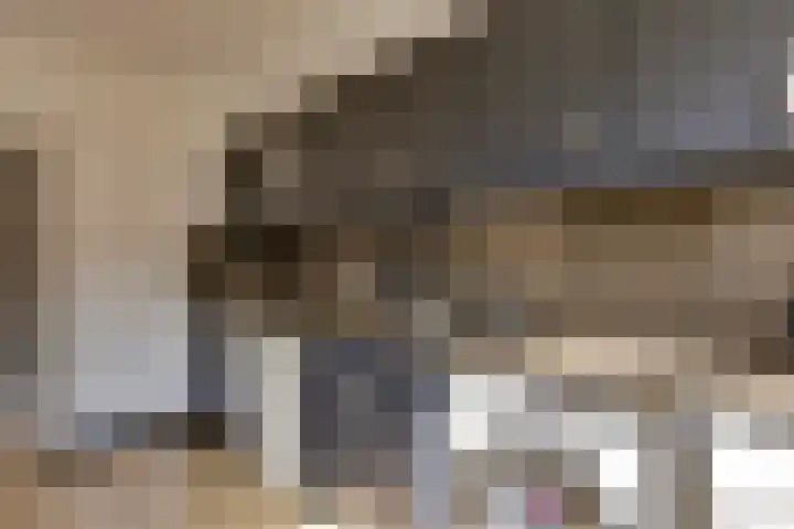 Ranonkelstraat 7 Son en Breugel thumbnail 9