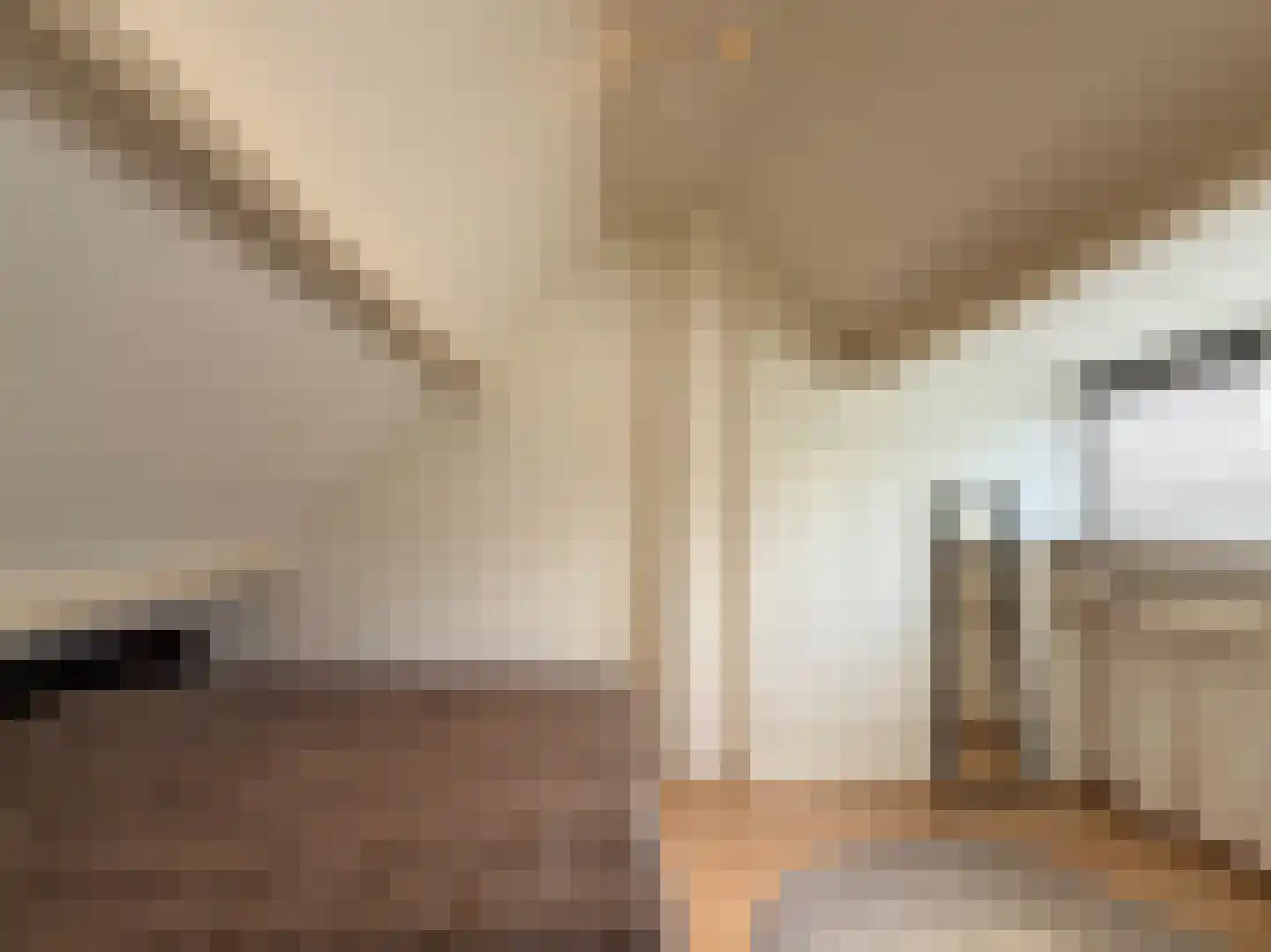 Ranonkelstraat 77 A Eindhoven thumbnail 16