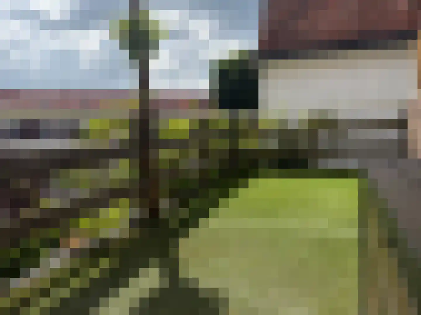 Ranonkelstraat 77 A Eindhoven thumbnail 4
