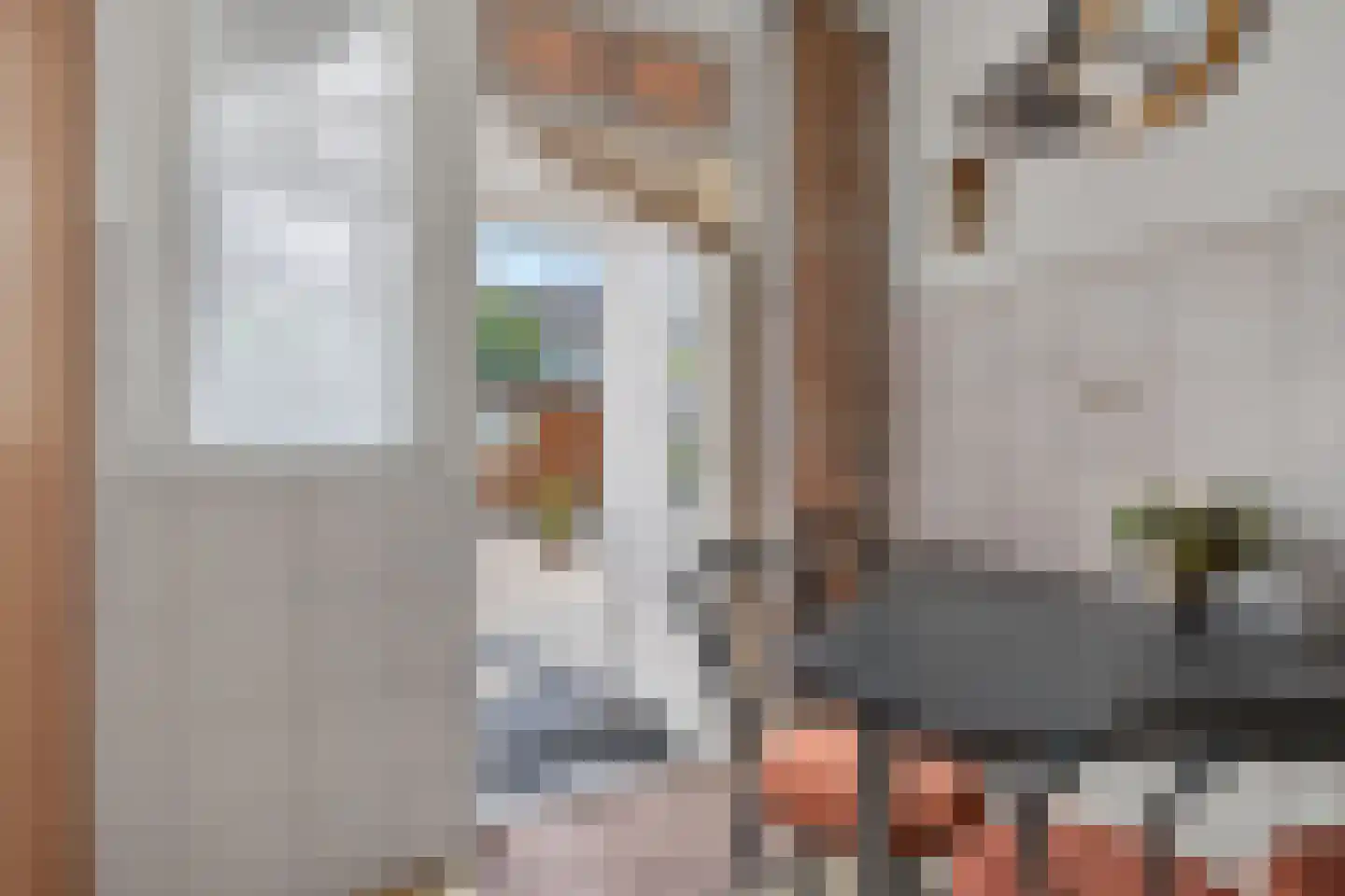Ranonkelstraat 8 Valkenswaard thumbnail 15