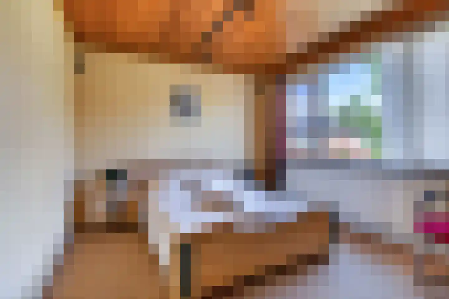 Ranonkelstraat 8 Valkenswaard thumbnail 24