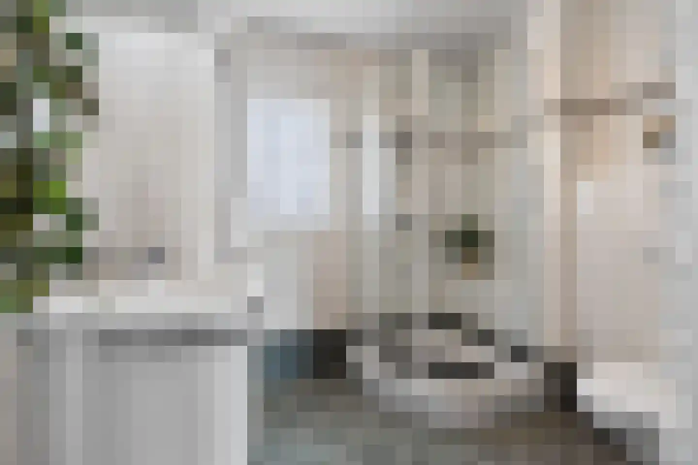 Ranonkelstraat 8 Valkenswaard thumbnail 28