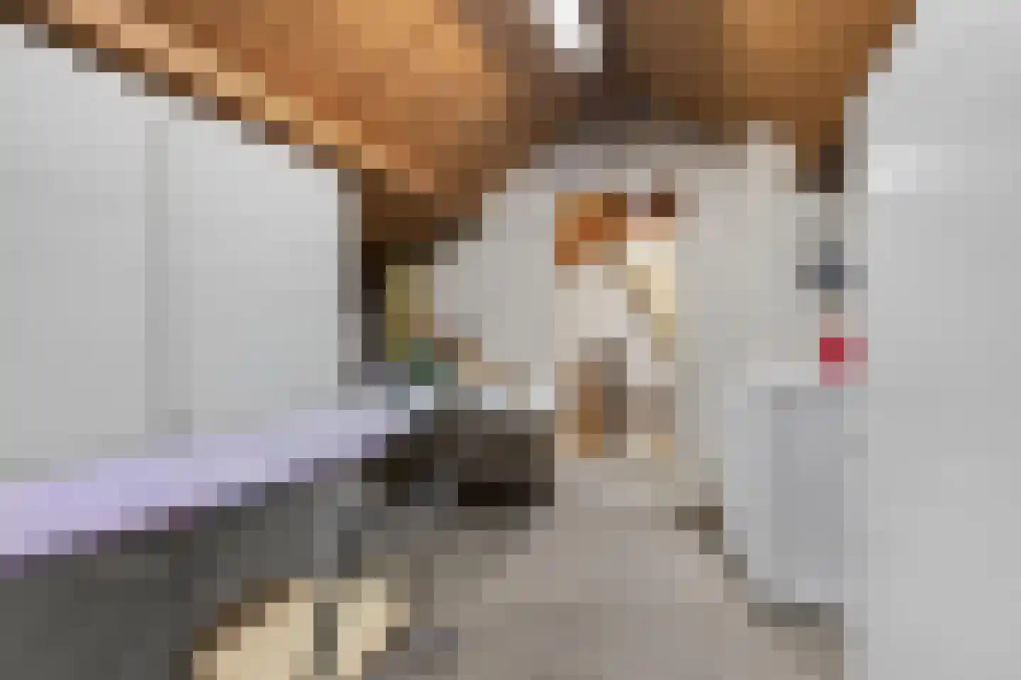 Ranonkelstraat 8 Valkenswaard thumbnail 30