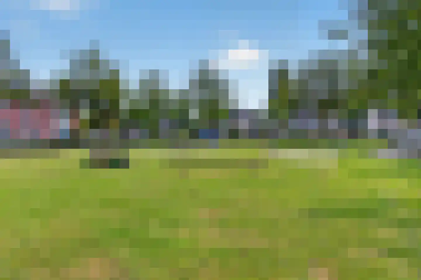 Ranonkelstraat 8 Valkenswaard thumbnail 31