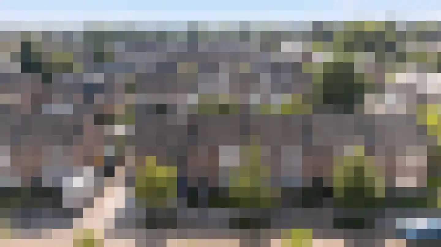 Ranonkelstraat 8 Valkenswaard thumbnail 32