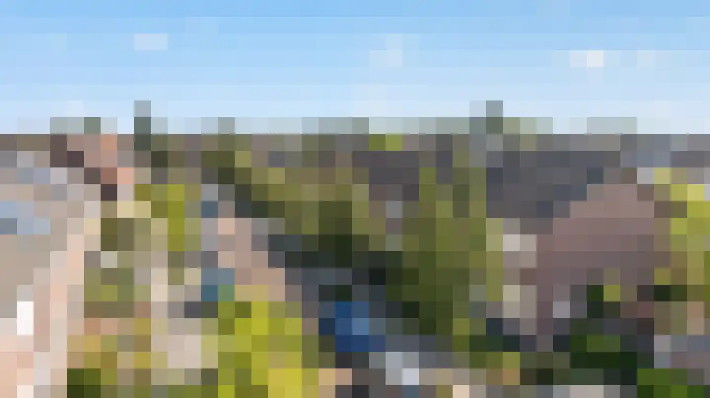Ranonkelstraat 8 Valkenswaard thumbnail 33