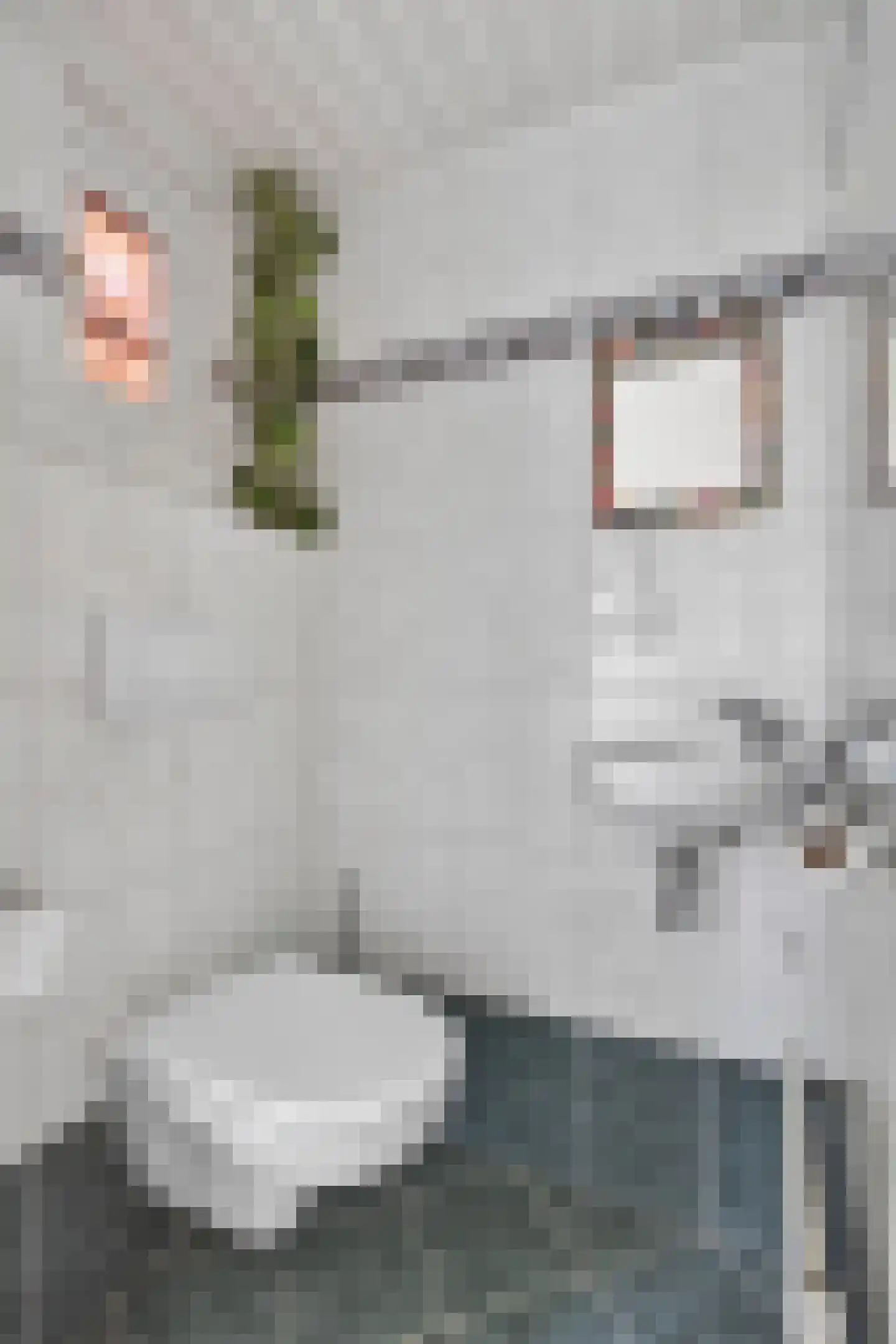 Ranonkelstraat 8 Valkenswaard thumbnail 5