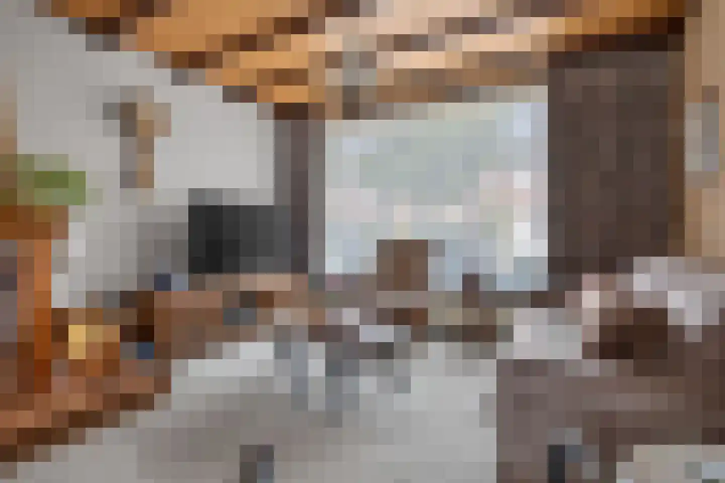 Ranonkelstraat 8 Valkenswaard thumbnail 7