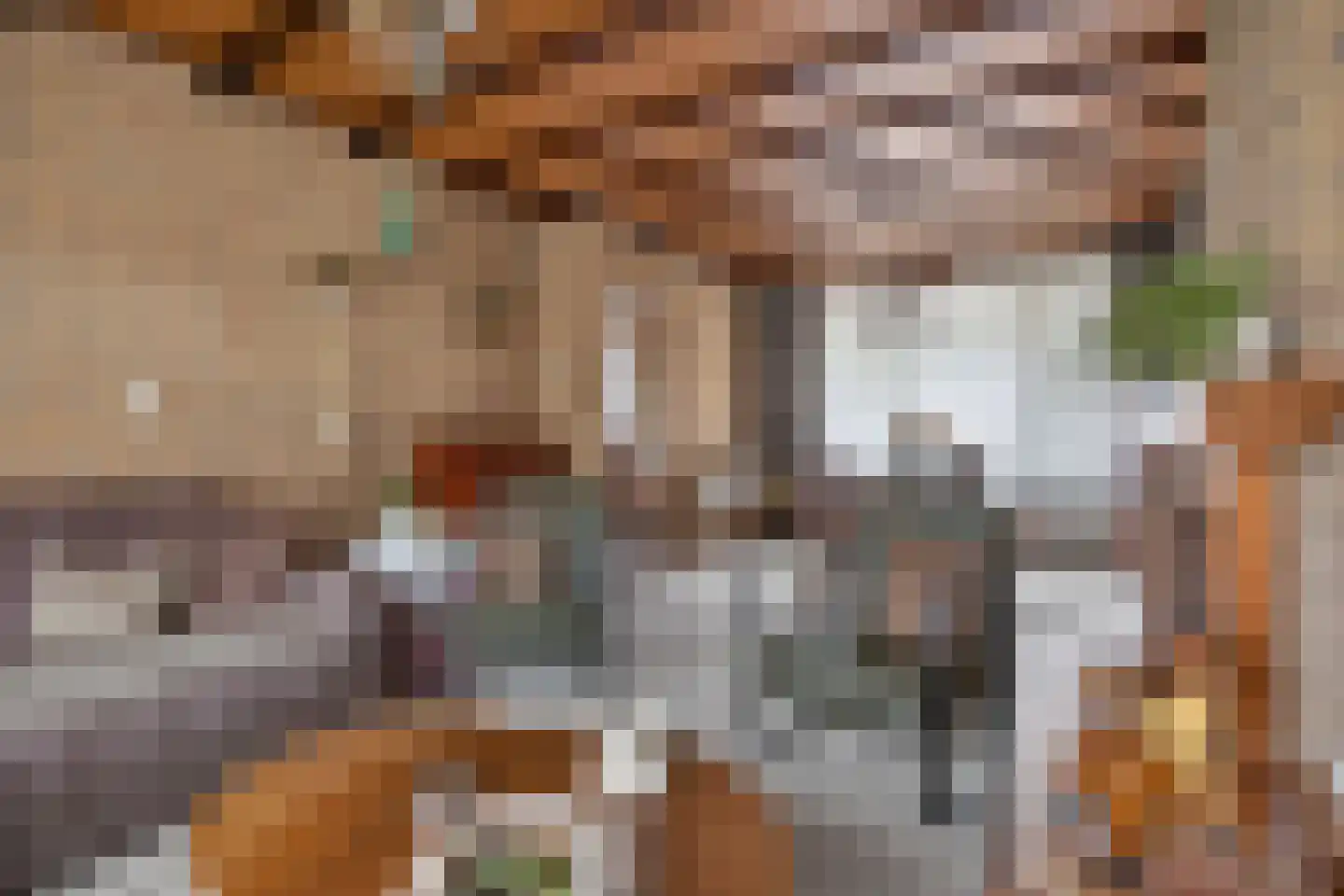 Ranonkelstraat 8 Valkenswaard thumbnail 9