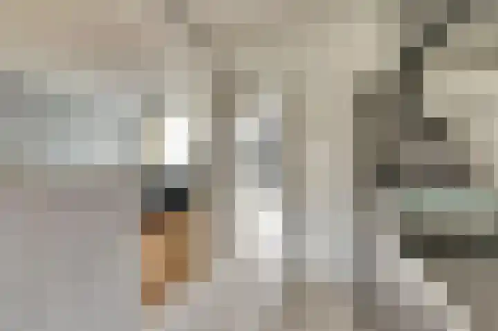 Ranonkelstraat 8 Waalwijk thumbnail 10
