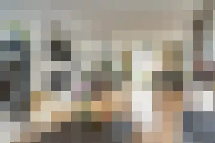 Ranonkelstraat 8 Waalwijk thumbnail 12