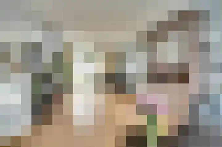 Ranonkelstraat 8 Waalwijk thumbnail 13