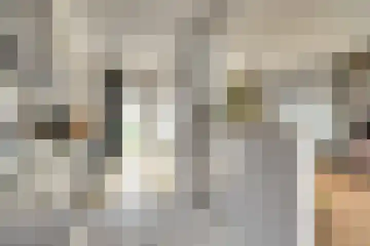 Ranonkelstraat 8 Waalwijk thumbnail 15
