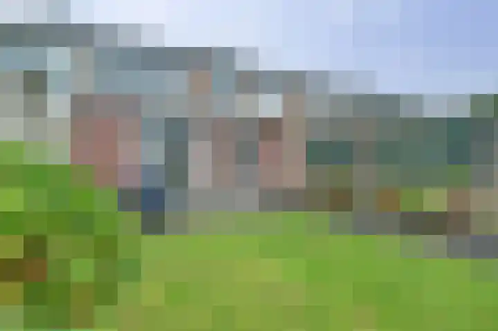 Ranonkelstraat 8 Waalwijk thumbnail 24