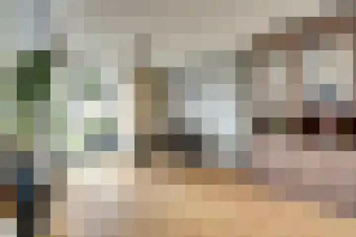 Ranonkelstraat 8 Waalwijk thumbnail 4