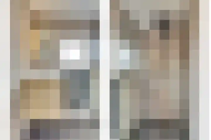 Ranonkelstraat 8 Waalwijk thumbnail 5