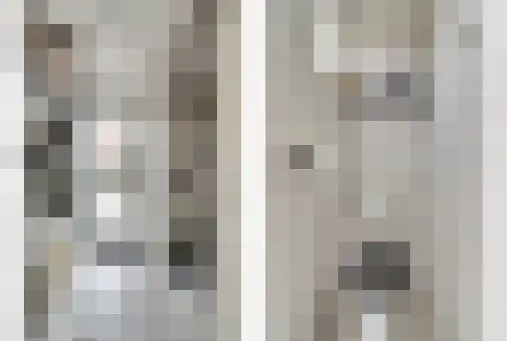Ranonkelstraat 8 Waalwijk thumbnail 7