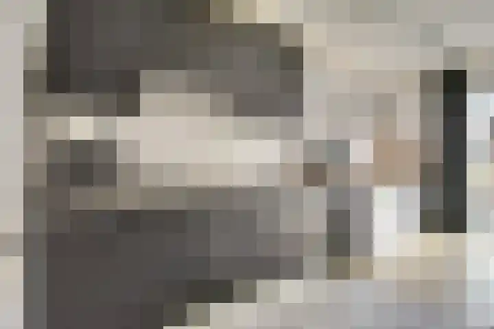 Ranonkelstraat 8 Waalwijk thumbnail 8