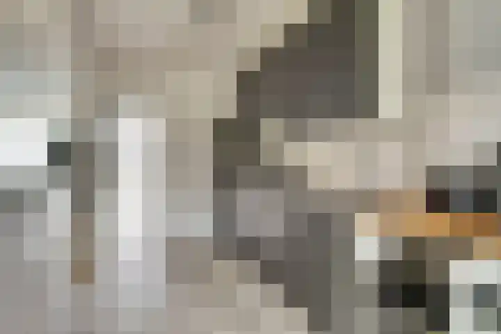 Ranonkelstraat 8 Waalwijk thumbnail 9