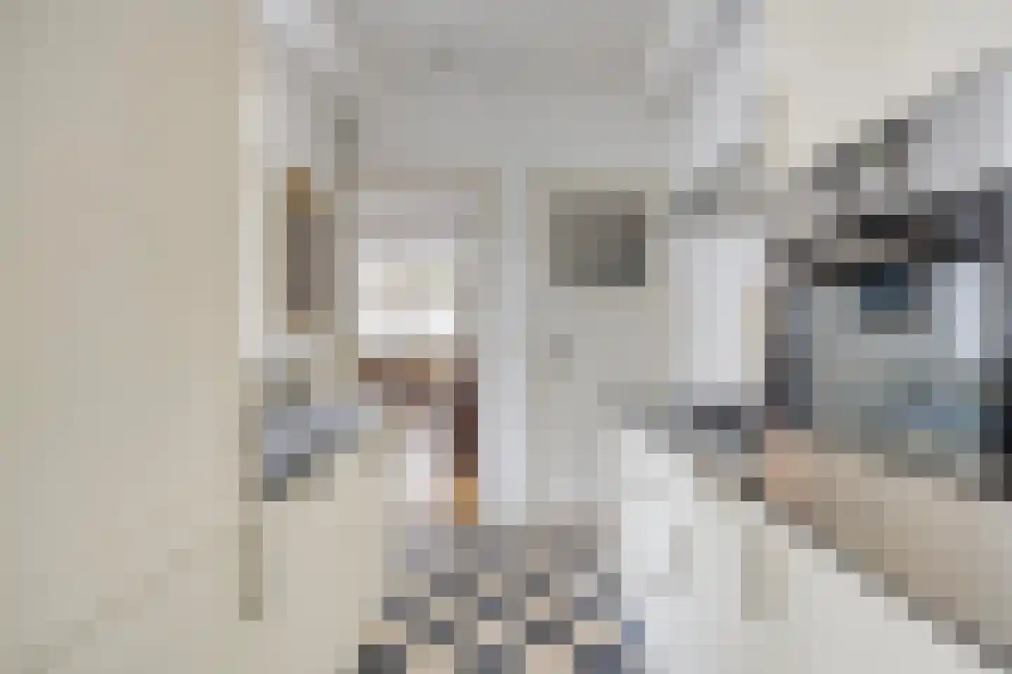 Ranonkelstraat 9 Eindhoven thumbnail 14