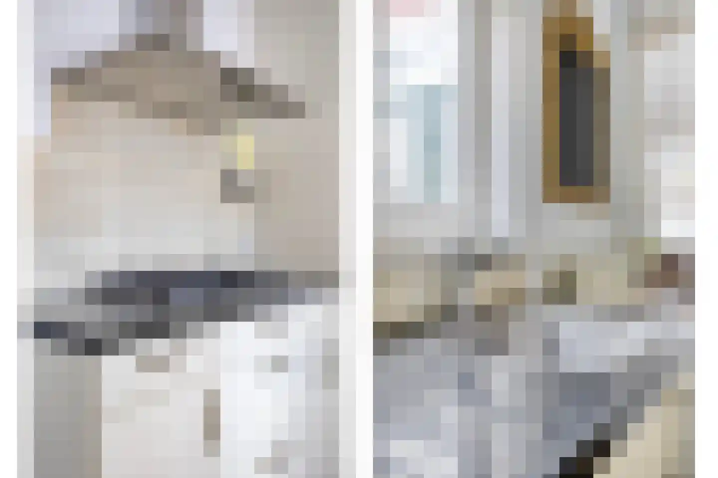 Ranonkelstraat 9 Eindhoven thumbnail 15