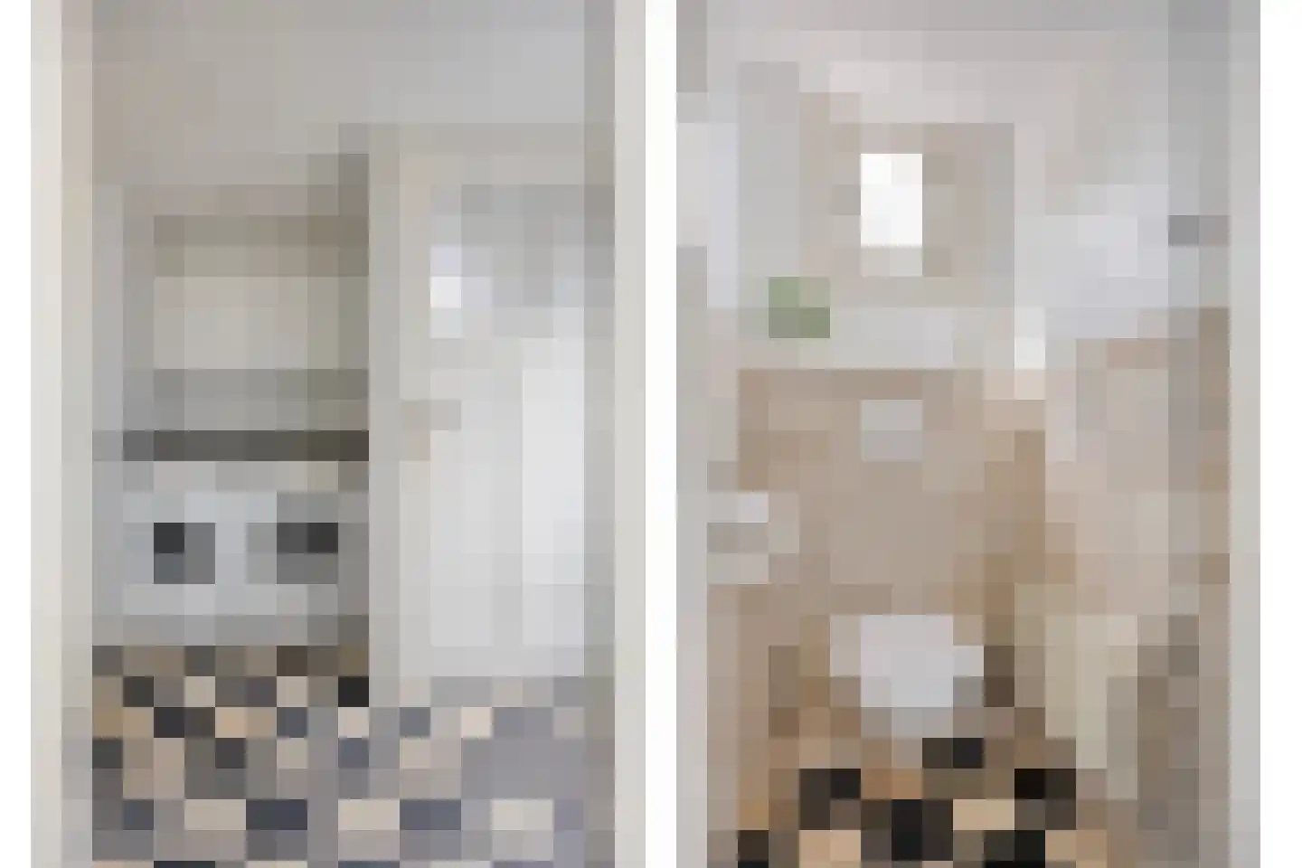Ranonkelstraat 9 Eindhoven thumbnail 17