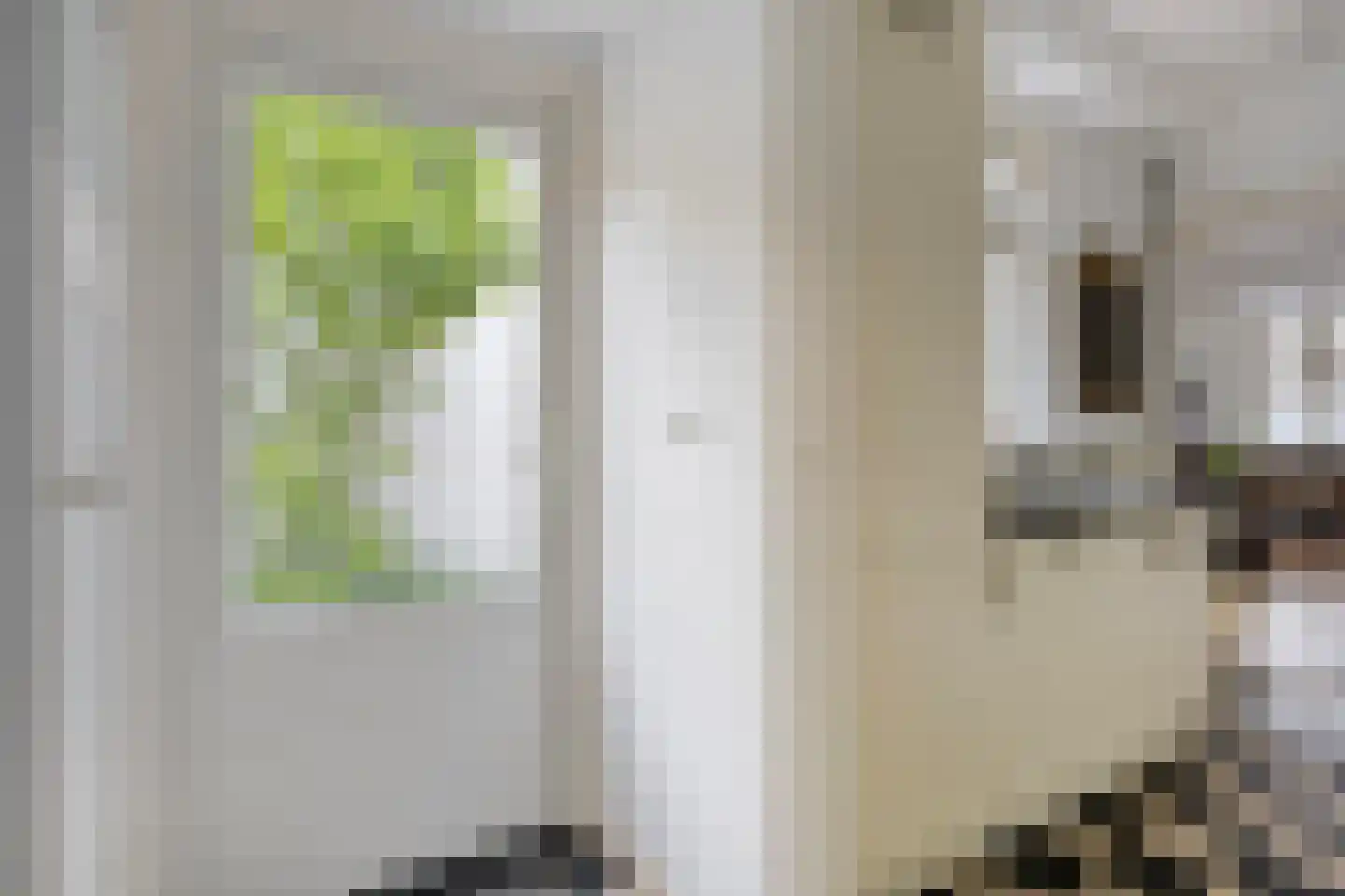 Ranonkelstraat 9 Eindhoven thumbnail 18