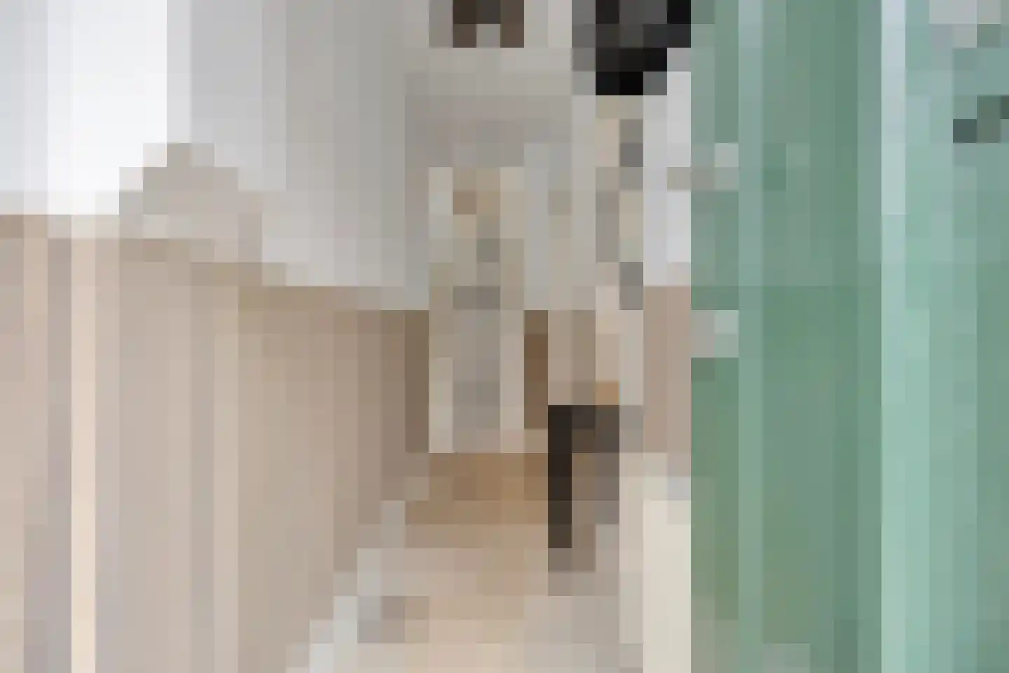 Ranonkelstraat 9 Eindhoven thumbnail 19