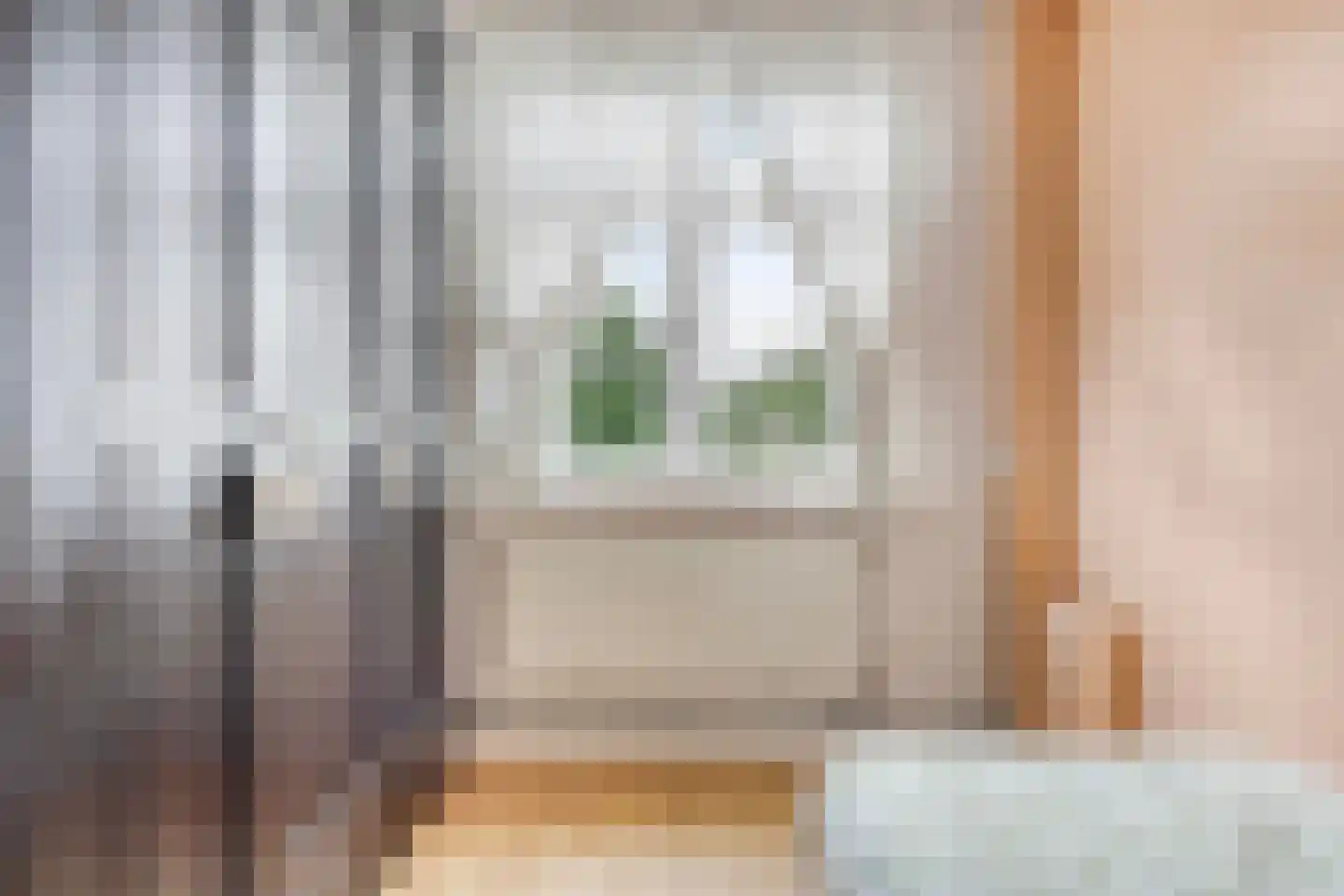 Ranonkelstraat 9 Eindhoven thumbnail 26