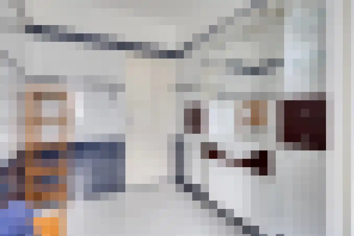 Ranonkelstraat 9 Eindhoven thumbnail 28