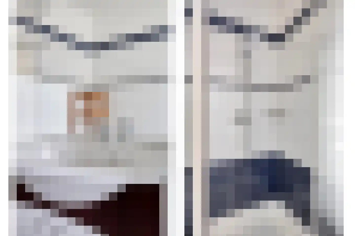 Ranonkelstraat 9 Eindhoven thumbnail 29