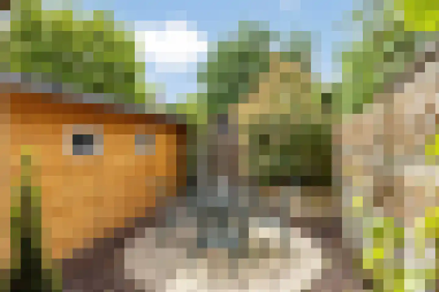 Ranonkelstraat 9 Eindhoven thumbnail 35