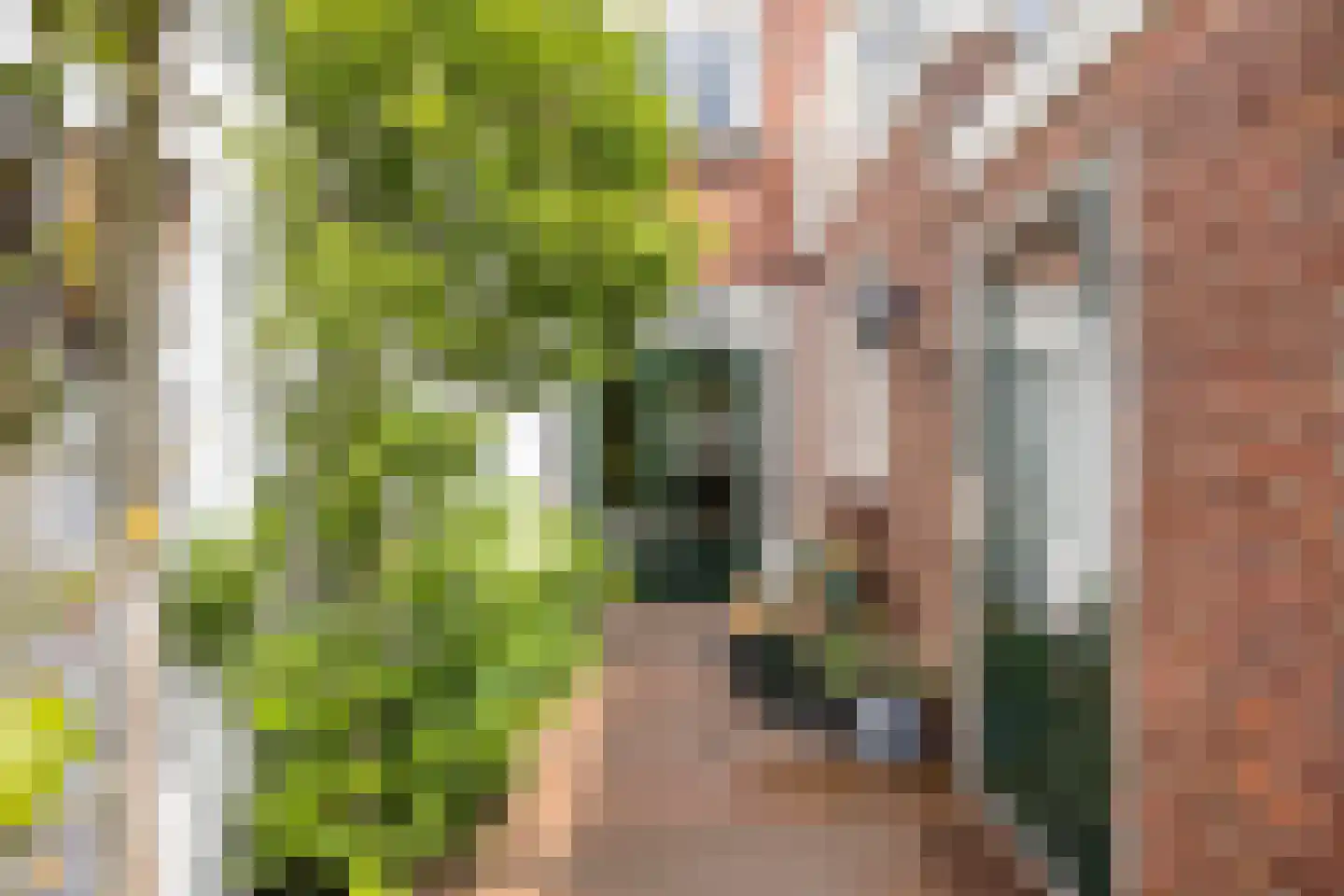 Ranonkelstraat 9 Eindhoven thumbnail 36