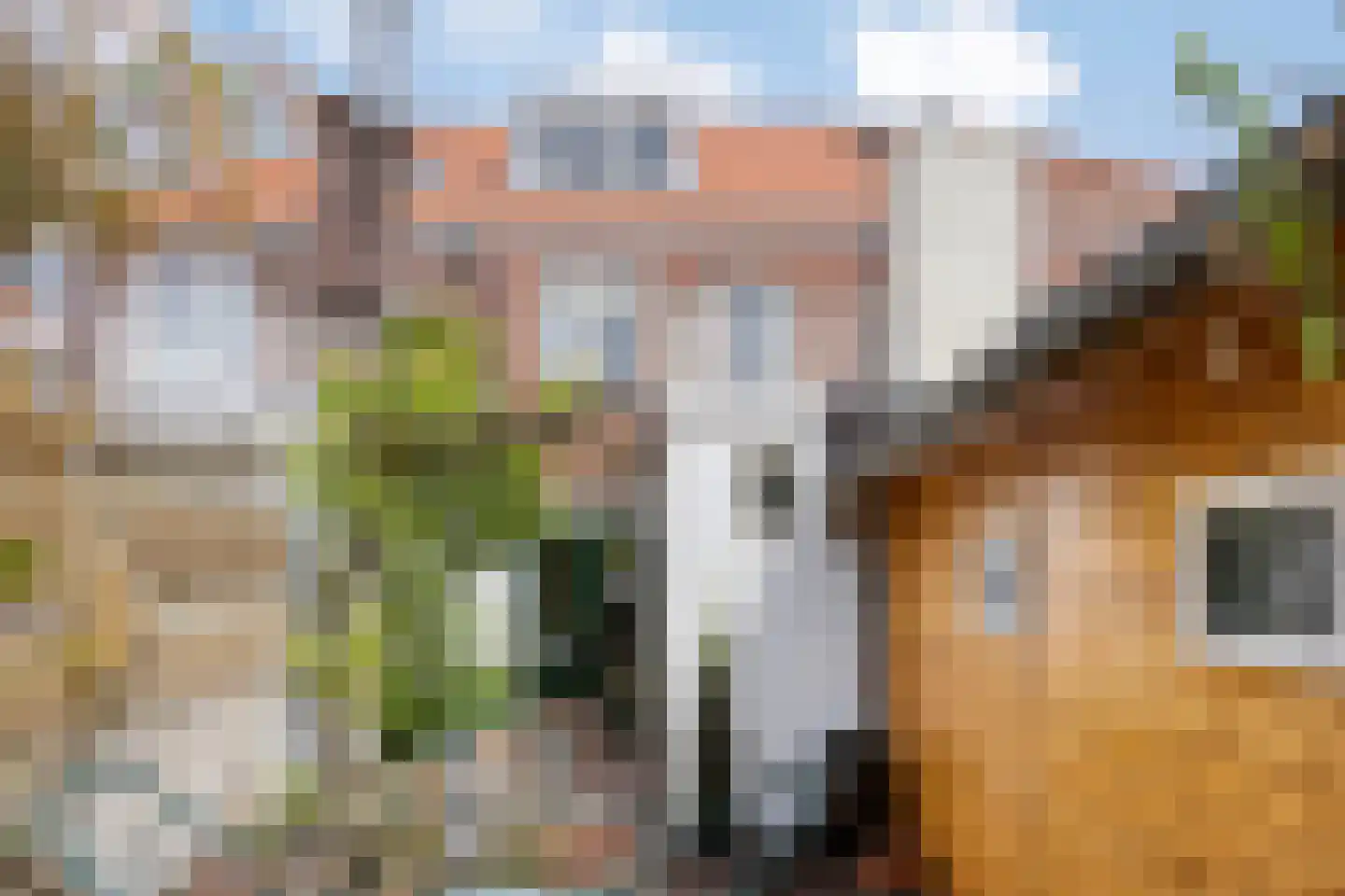 Ranonkelstraat 9 Eindhoven thumbnail 37