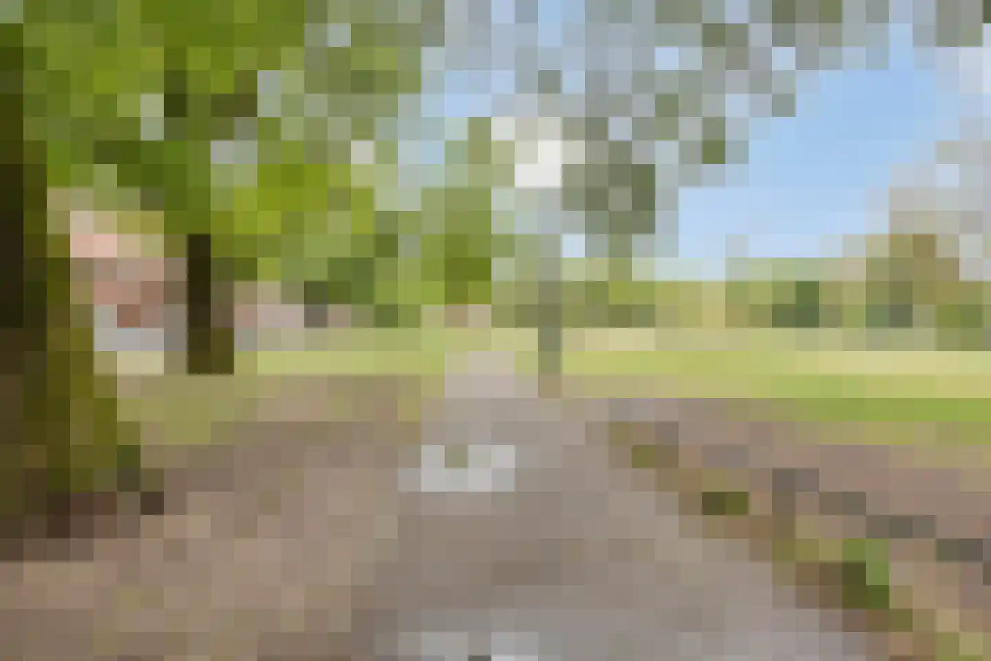Ranonkelstraat 9 Eindhoven thumbnail 38