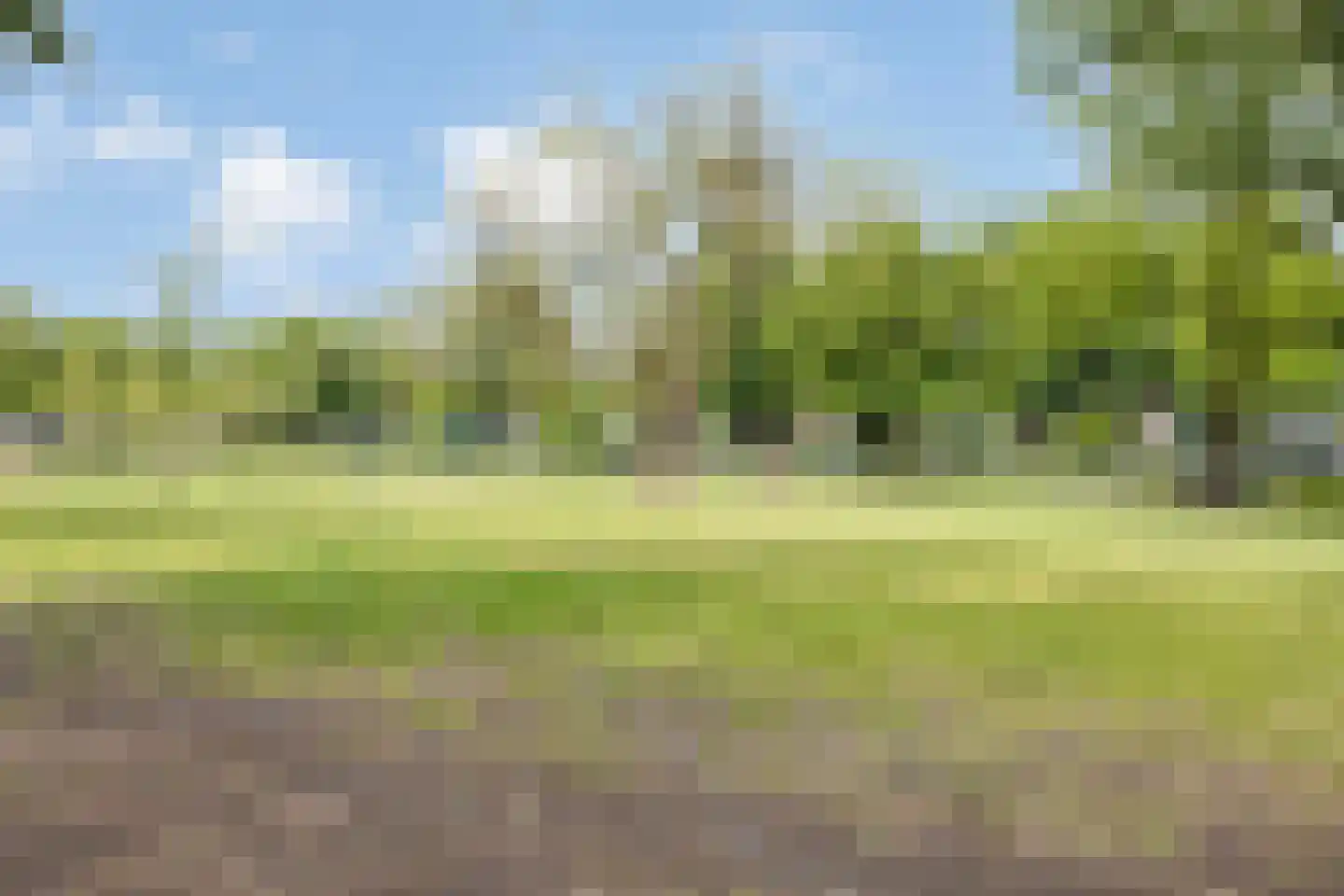 Ranonkelstraat 9 Eindhoven thumbnail 39