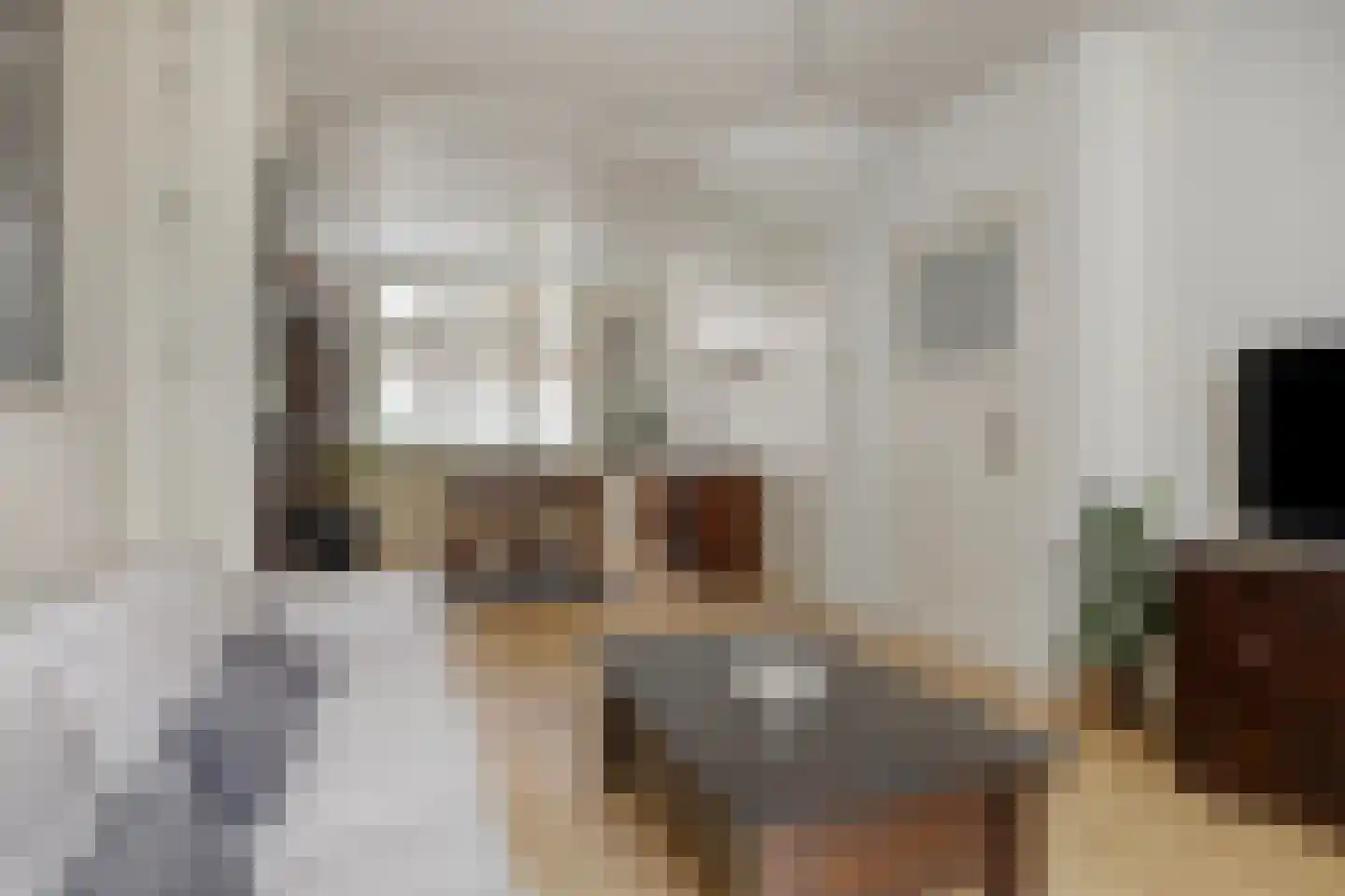 Ranonkelstraat 9 Eindhoven thumbnail 6