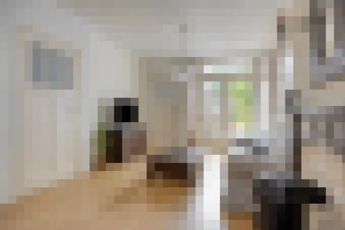 Ranonkelstraat 9 Eindhoven thumbnail 7