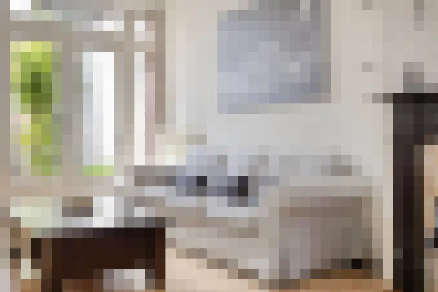 Ranonkelstraat 9 Eindhoven thumbnail 8
