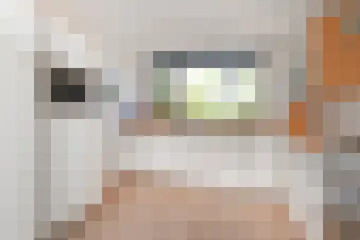 Ranonkelweg 37 Berkel en Rodenrijs thumbnail 17