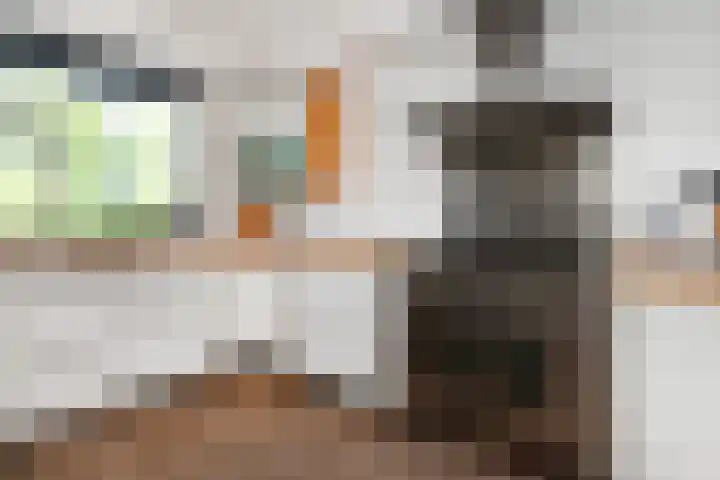 Ranonkelweg 37 Berkel en Rodenrijs thumbnail 19