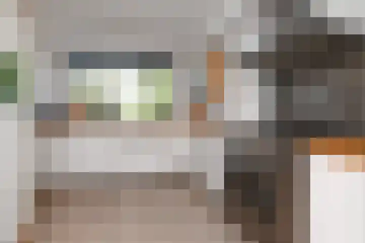 Ranonkelweg 37 Berkel en Rodenrijs thumbnail 23